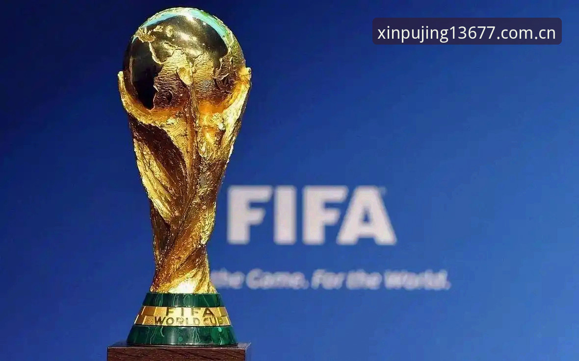 2026新浦京使用教程：从世界杯签证危机看赛事观看新方式